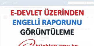 E-Devlet Engelli Raporu Sorgulaması Nasıl Yapılır
