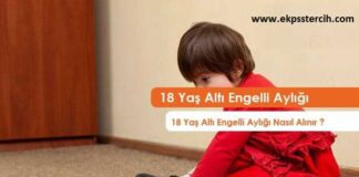 18 Yaş Altı Engelli Maaşı Nasıl Alınır