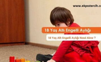 18 Yaş Altı Engelli Maaşı Nasıl Alınır